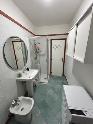 Regadera, secadora de cabello, bidet, toallas 