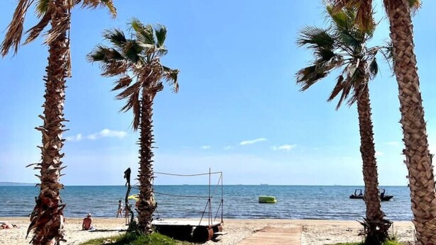 Une plage bordée de palmiers, une promenade en bois et un ciel d’un bleu limpide.