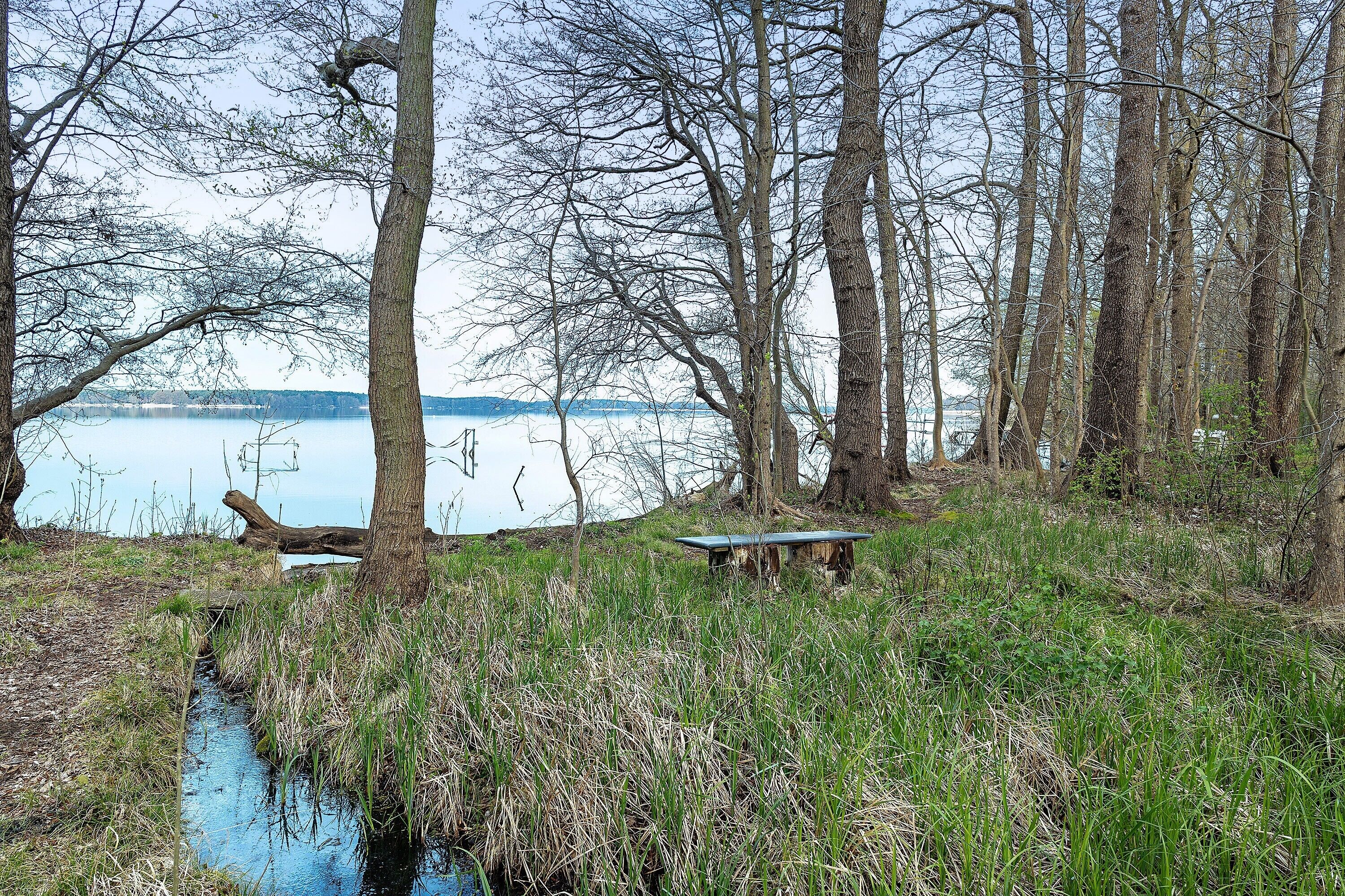 A natural landscape with a body of water, trees, and a bench.