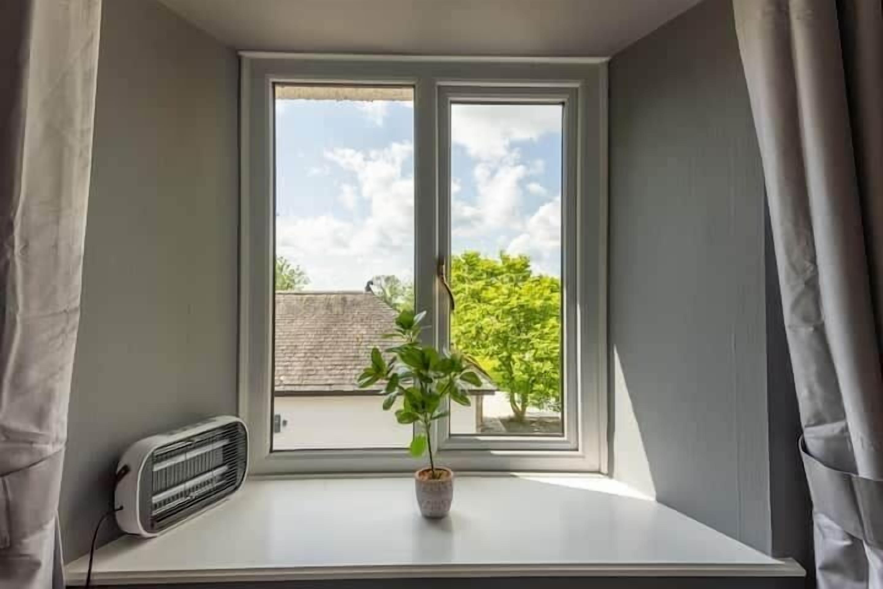 Une pièce avec une fenêtre, une plante en pot et un radiateur fixé au mur.