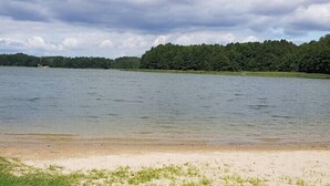 Un lac avec une plage de sable et une zone boisée en arrière-plan.