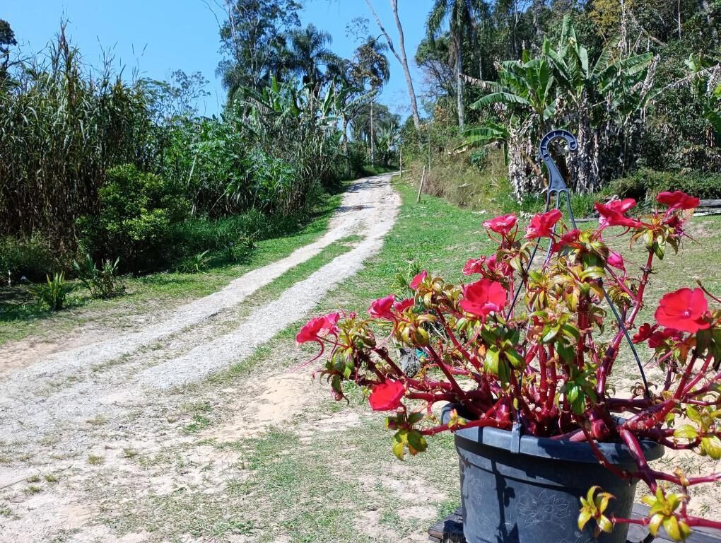Área da propriedade