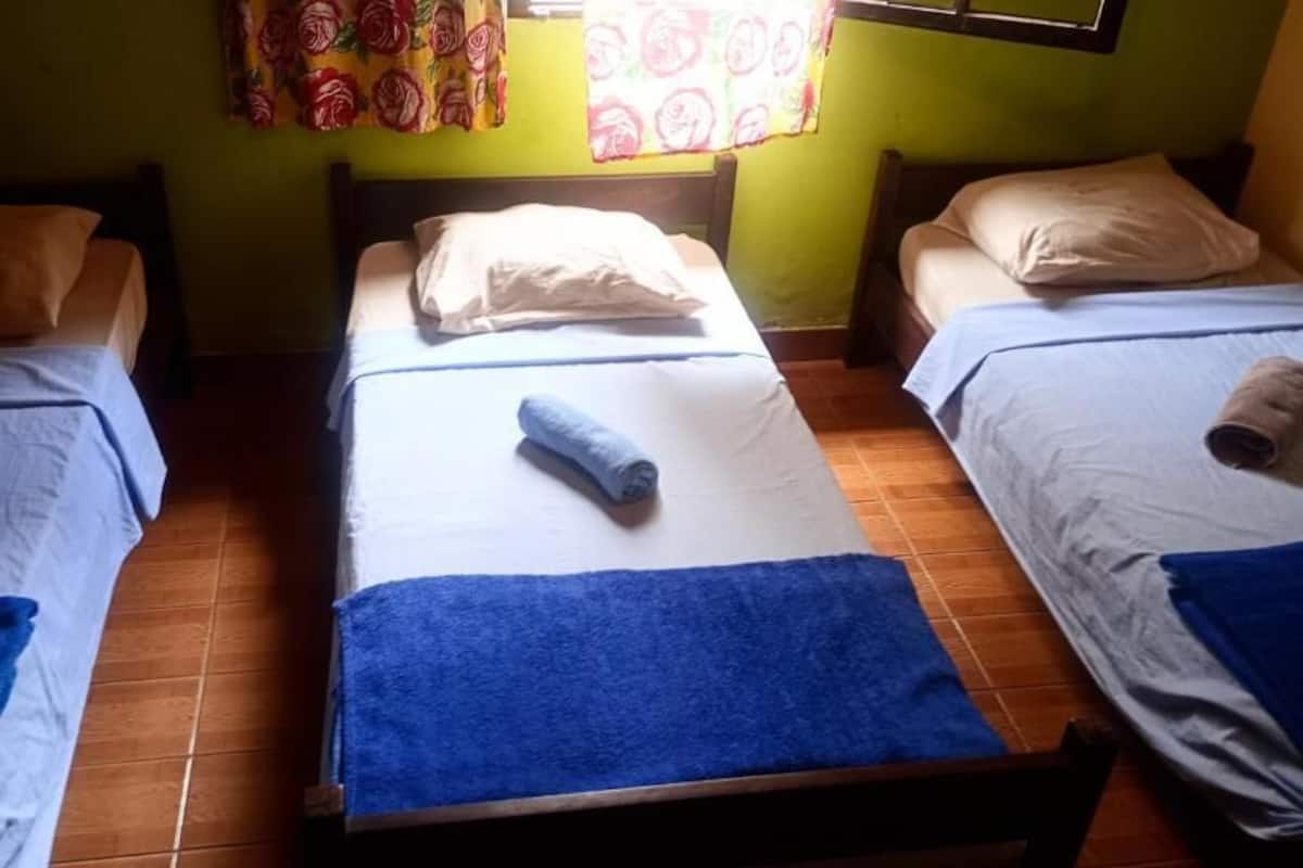 이코노미 쿼드룸, 정원 전망 | 무료 WiFi