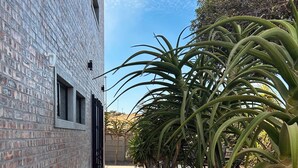 Un sendero estrecho bordeado por un muro de ladrillo y una fila de palmeras.