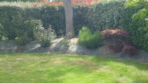 Ein Garten mit vielfältigen Pflanzen und einer Rasenfläche.