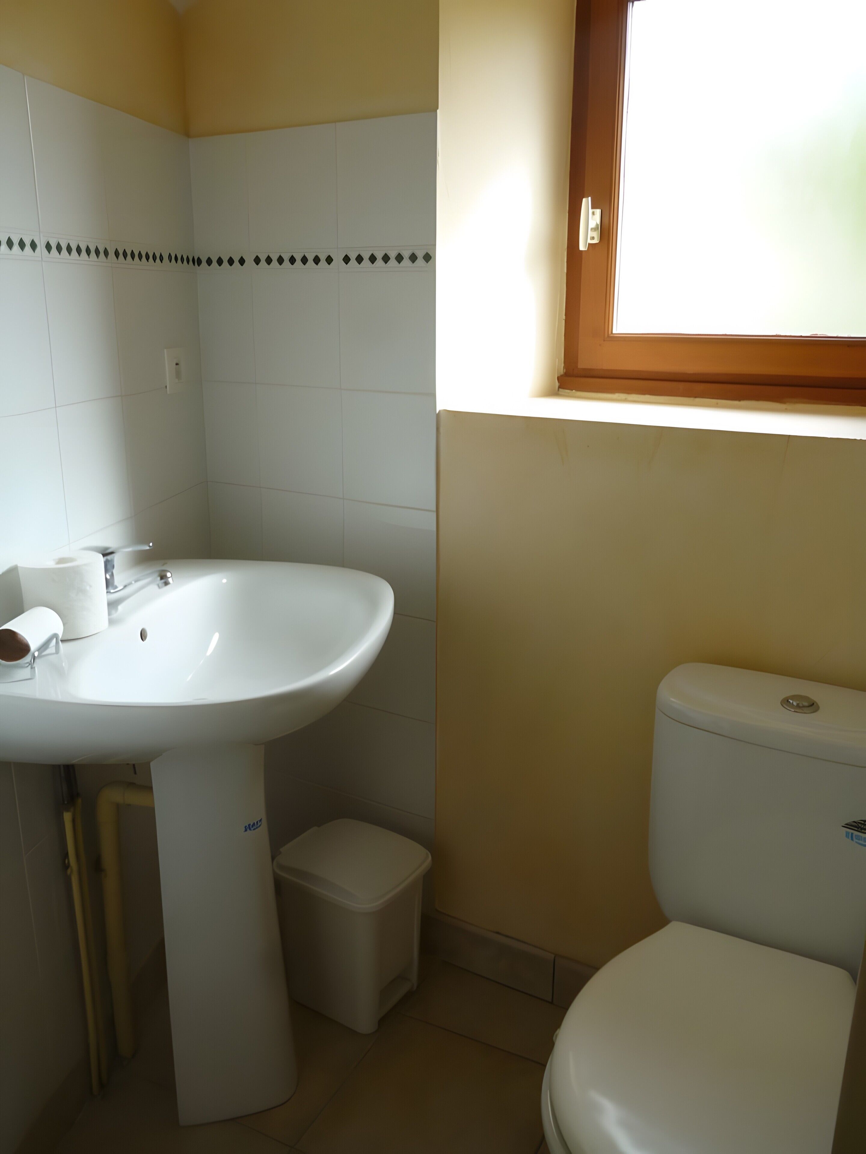 A bathroom with a white sink, toilet, and a small trash bin.