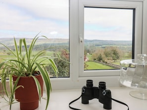A window with a view of a green landscape, a potted plant, and a pair of binoculars on a table. - Eastend Cottage (Leyburn)