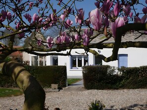 Property grounds - Maison Le Clos des Ânes: private terrace and garden in Sainte-Marguerite sur Duclair (Sainte-Marguerite-sur-Duclair)