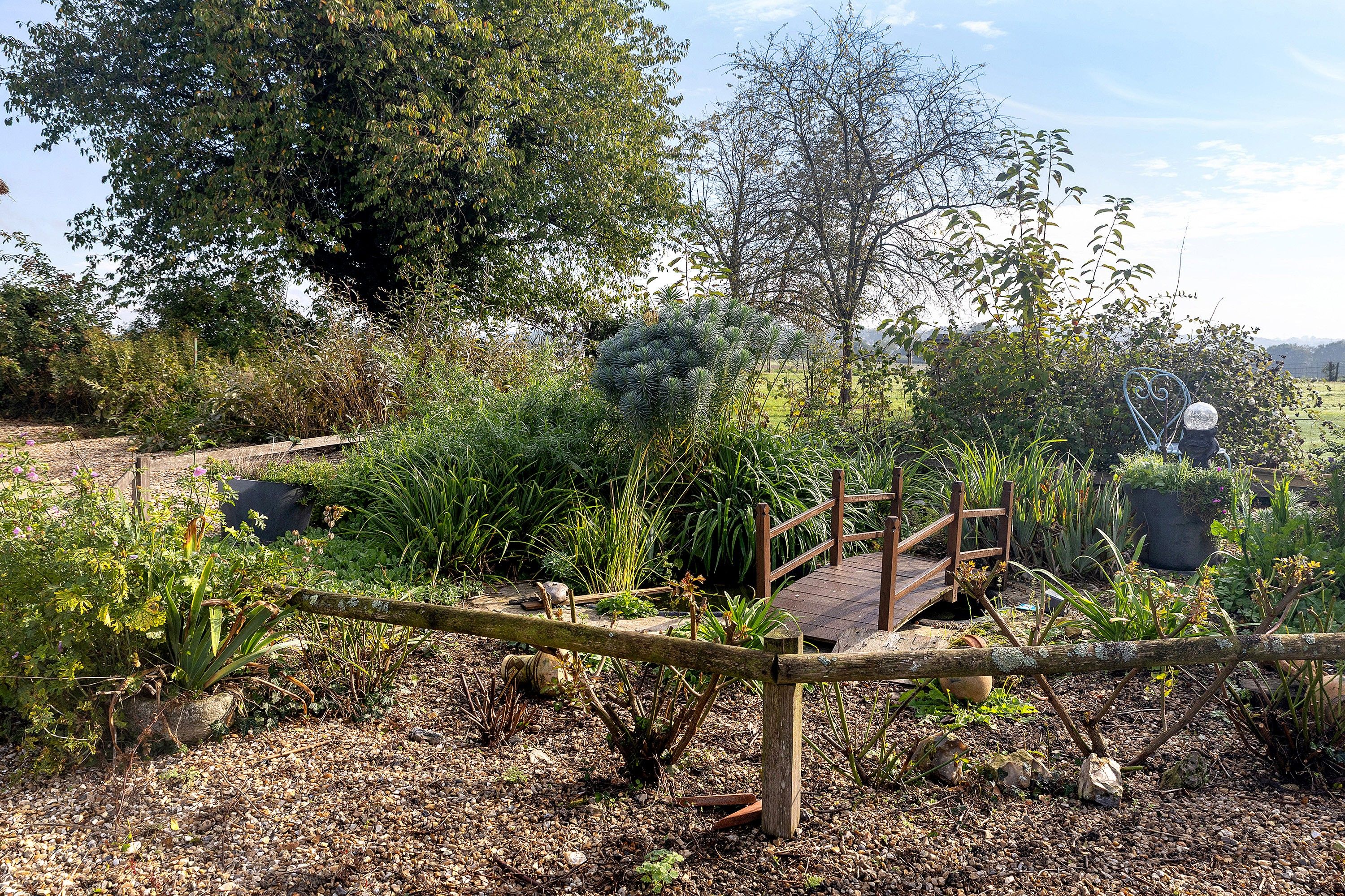 Un jardín con un puente de madera, diversas plantas y un sendero de piedra.