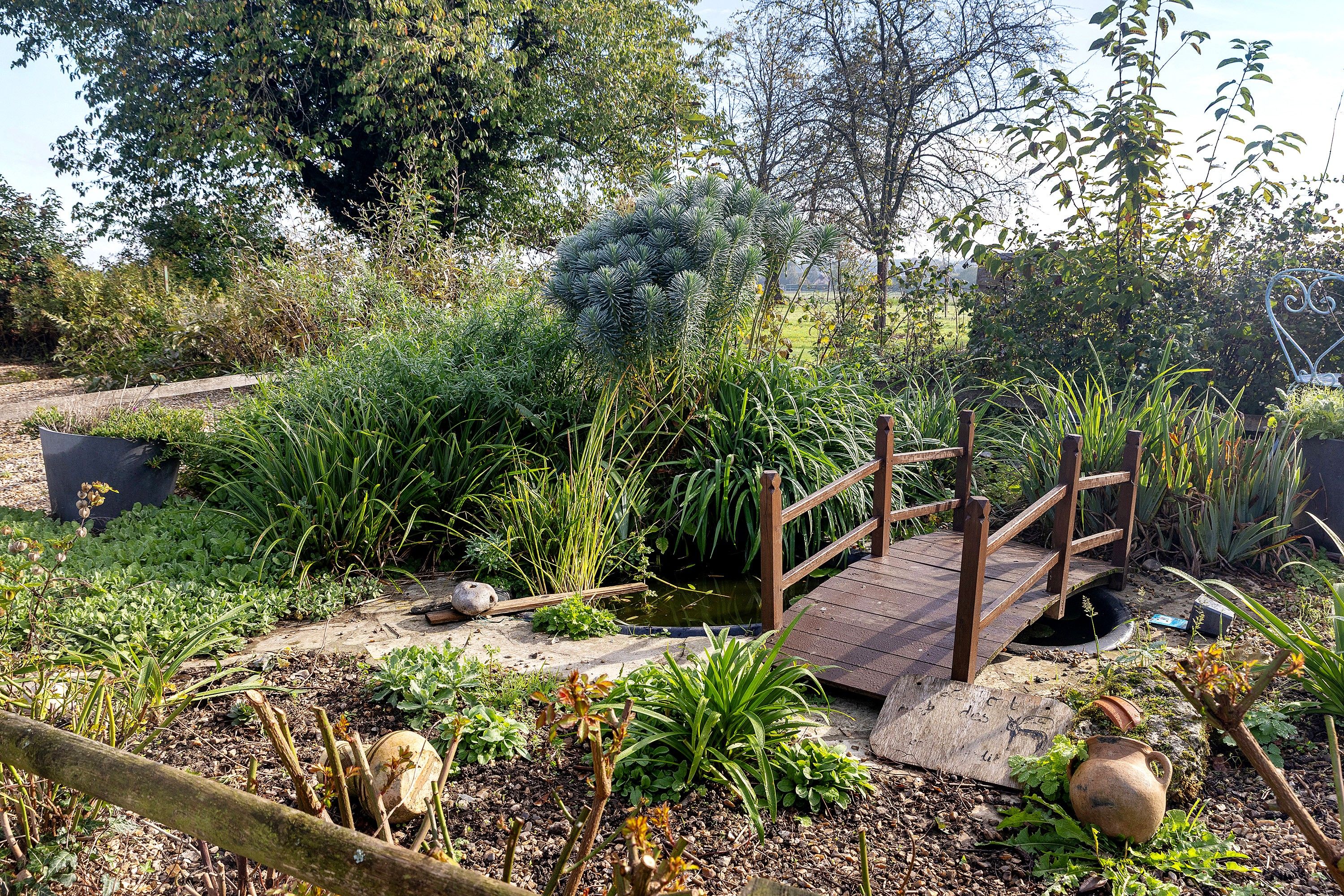 Un jardin avec un pont en bois, différentes plantes et un sentier en pierre.