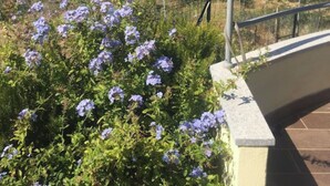 A coastal view with a clear sky, a pathway leading to a building, and purple flowers in the foreground. - Villa tre fari all'Isola d'Elba (Colle D'orano)