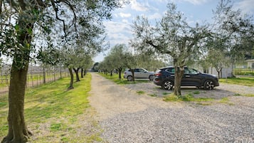 A gravel path lined with trees, parked cars, and a fence.