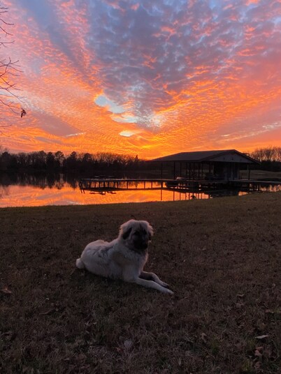 WHISPERING PINES — PRIVATE LAKEFRONT RETREAT ON 240 ACRES