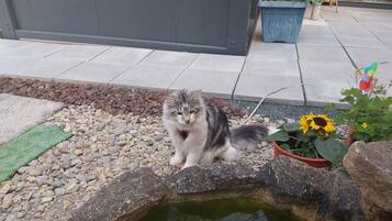 Terrein van de accommodatie