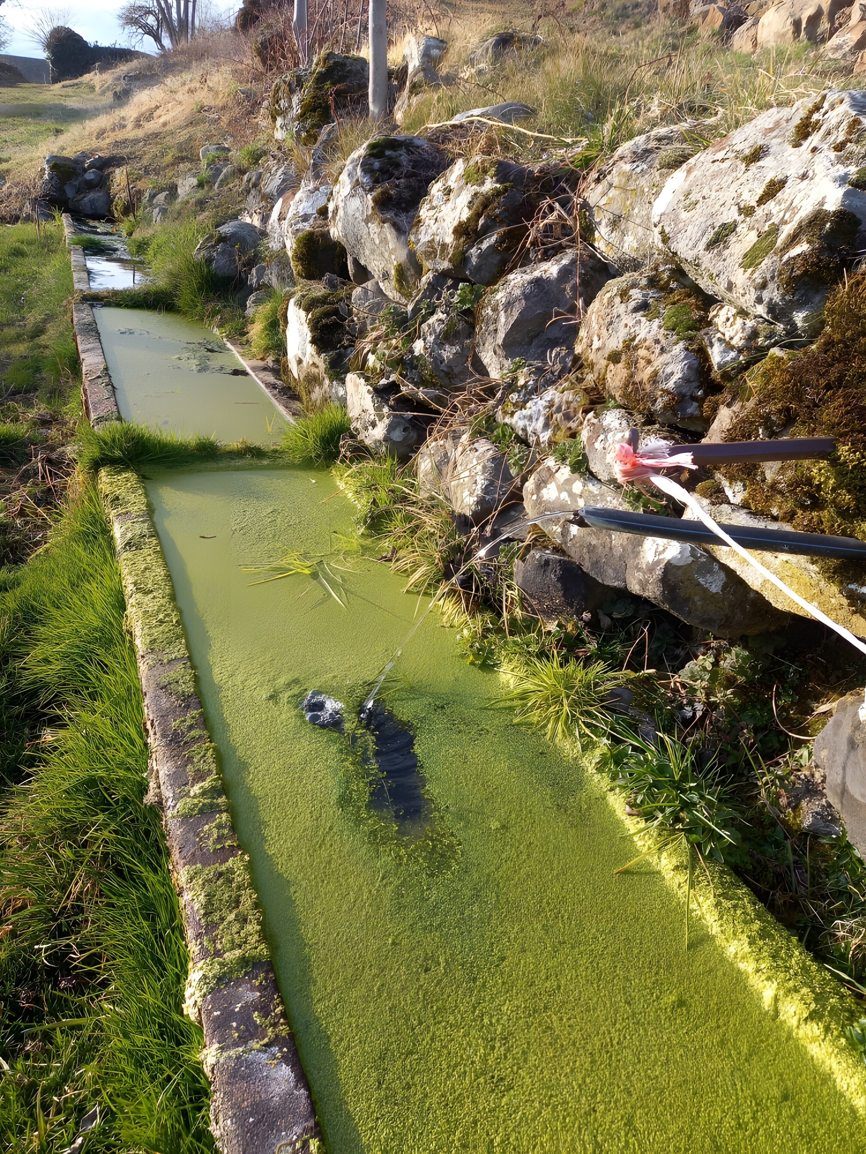 A narrow water channel with rocks and grass on either side.