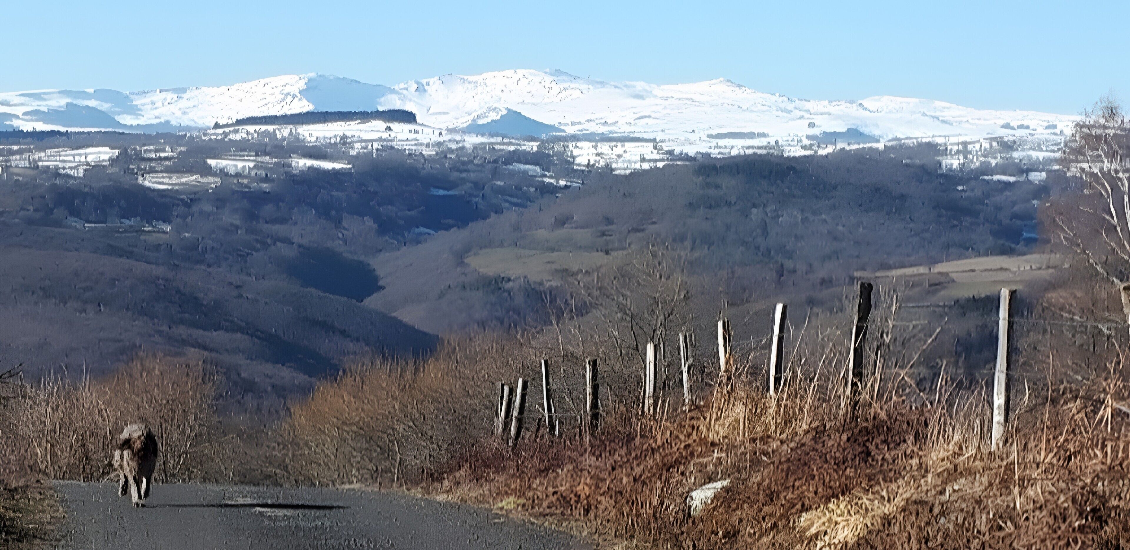 A rural landscape with a road, a fence, and snow-capped mountains in the background.