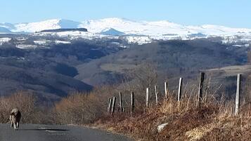 A rural landscape with a road, a fence, and snow-capped mountains in the background.