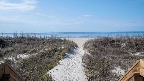 Um caminho de areia que leva ao oceano, rodeado por vegetação.