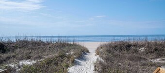 Absolute Bliss: Early Bird Special!