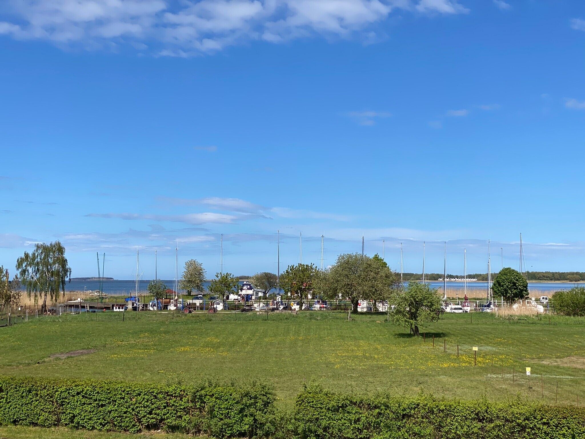 A coastal area with wind turbines, a grassy field, and a body of water in the background.