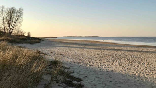 En strand med sand, gräs och en klar himmel.