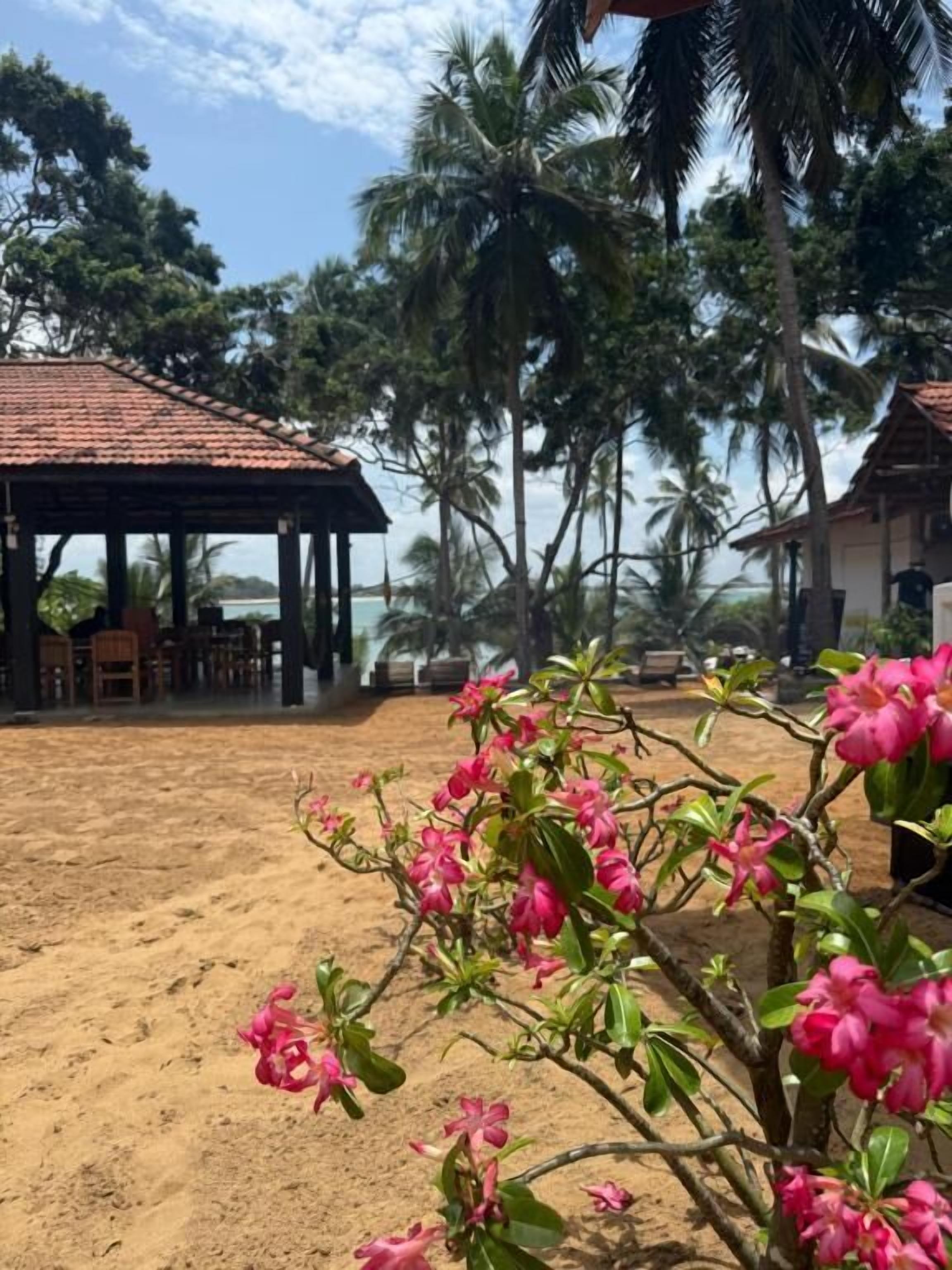 Un espace aménagé au bord de la plage, doté d’un espace de repos couvert, de palmiers et d’une plage de sable.