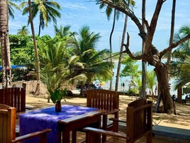 Un restaurante frente al mar con mesas y sillas de madera, rodeado de palmeras y vistas a la playa.