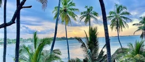 Double Room, Balcony, Beach View | Beach