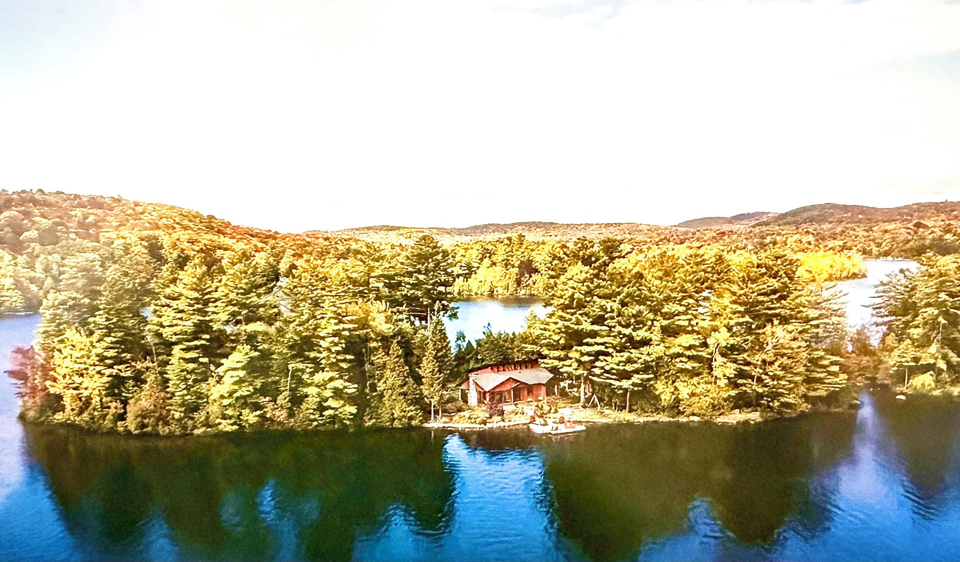 A cabin surrounded by dense forest and a lake.