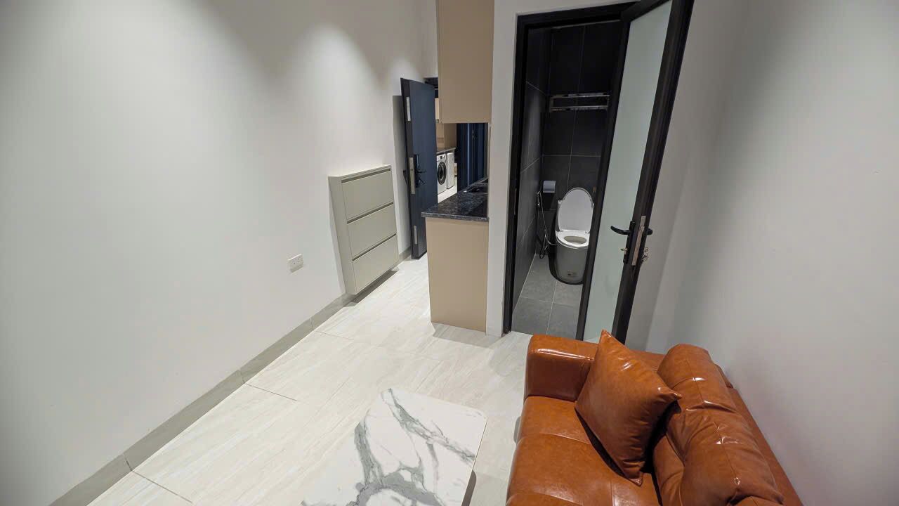 Un ambiente compatto con divano, angolo cottura e bagno separato.