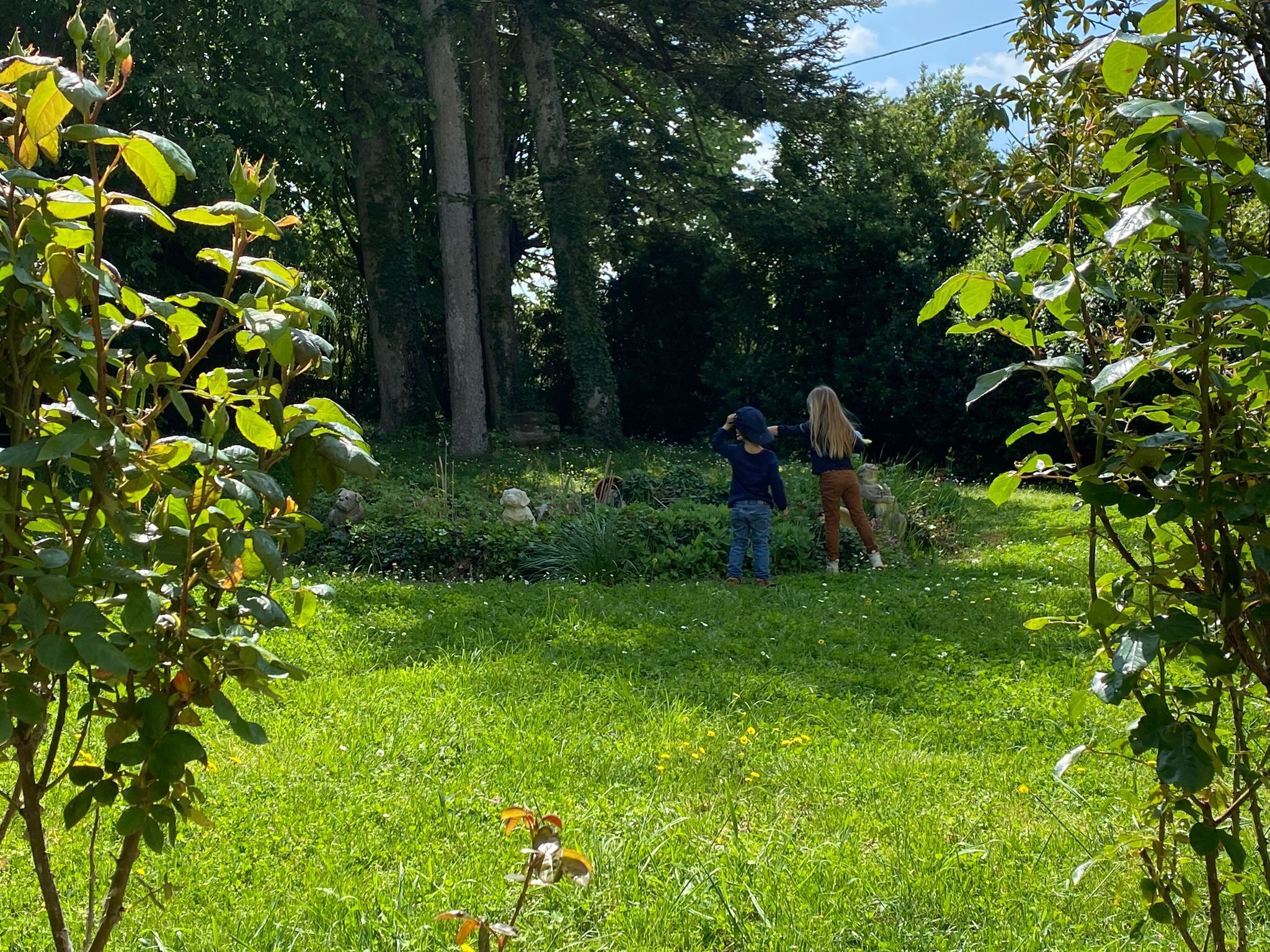 Terrein van de accommodatie