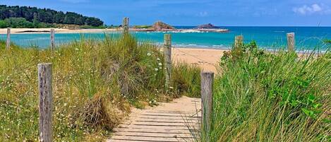 Chaises longues, serviettes de plage