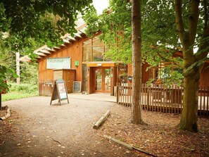 Exterior detail - Thorpe Forest Golden Oak, Thorpe Forest (Thetford)