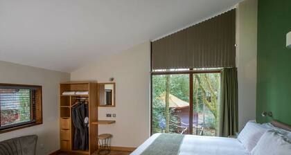 Delamere Forest Golden Oak, Delamere Forest