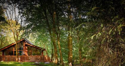 Beddgelert Golden Oak - Fresh Design, Beddgelert