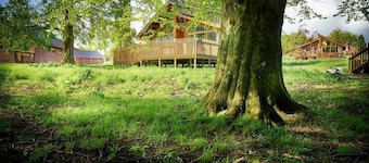 Forest of Dean Meadow - Golden Oak, Coleford