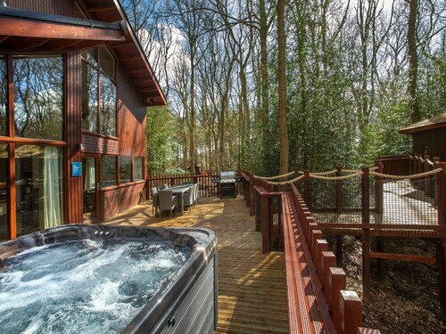 Delamere Forest Golden Oak Treehouse, Frodsham