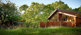 Beddgelert Silver Birch Cabin, Beddgelert