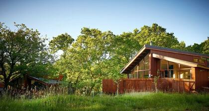 Beddgelert Silver Birch Cabin, Beddgelert