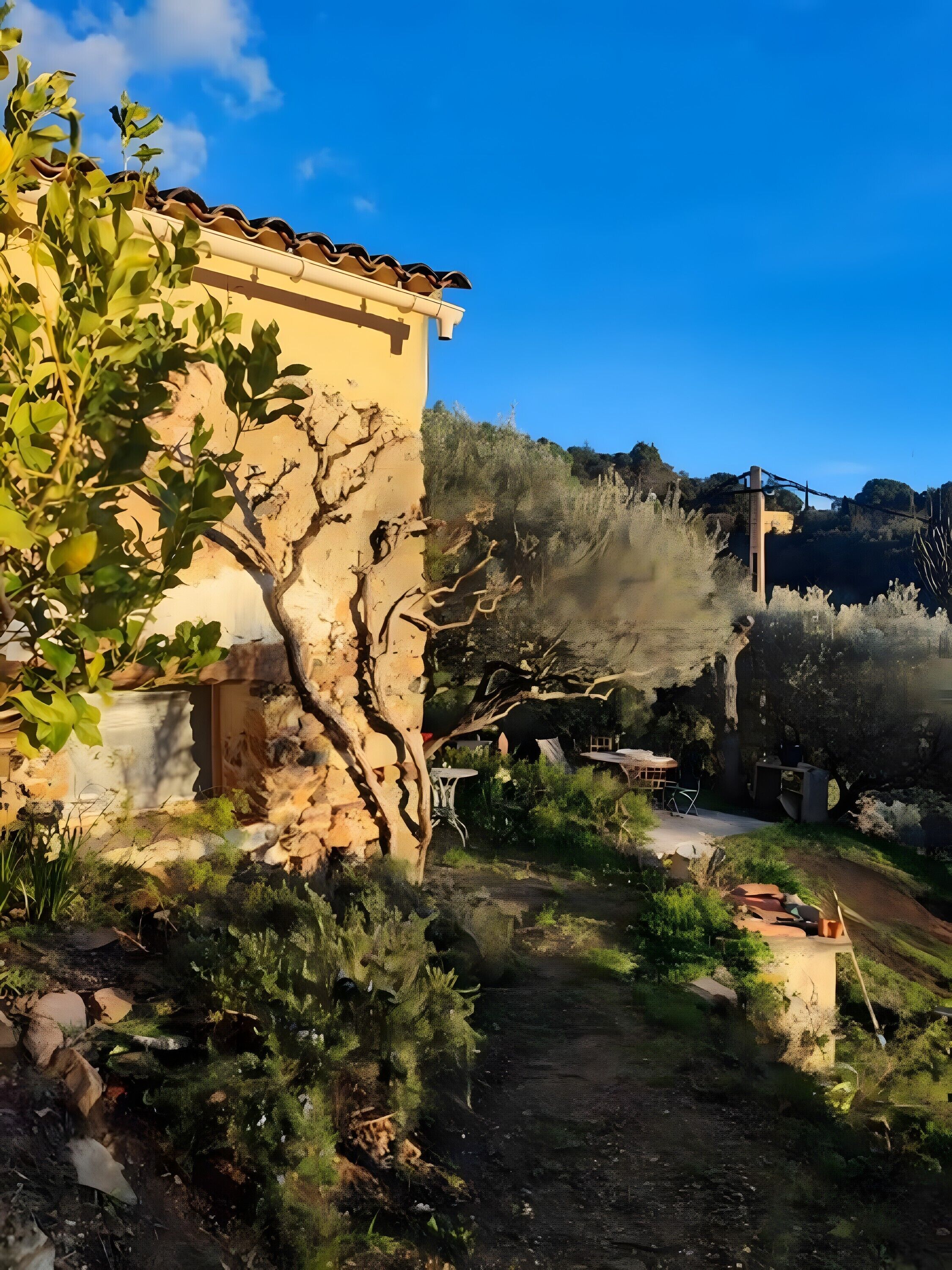 Terrein van de accommodatie