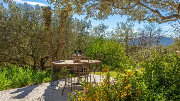 An outdoor dining area with a table and chairs, surrounded by olive trees and greenery.