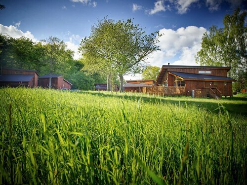 Forest of Dean Meadow - Golden Oak Treehouse, Coleford