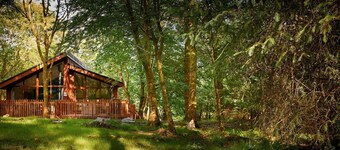 Beddgelert Golden Oak - Fresh Design, Beddgelert