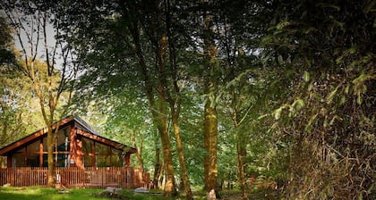 Beddgelert Golden Oak - Fresh Design, Beddgelert