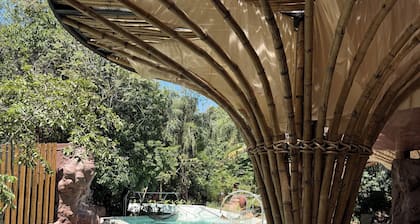Entre Arboles Iguazu, Singular Collection by Amerian