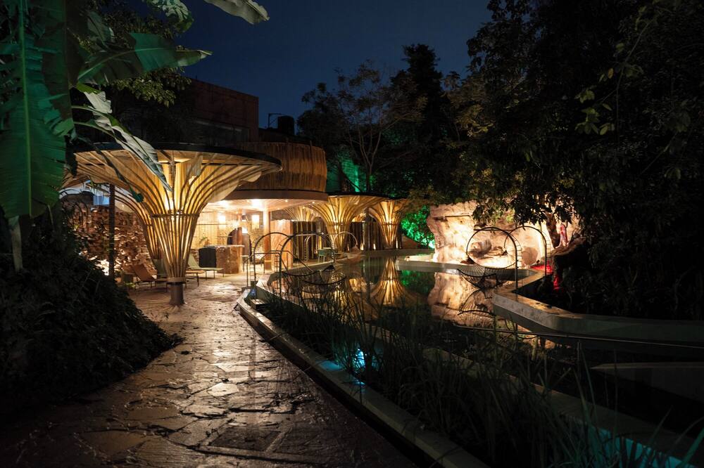 Entre Arboles Iguazu, Singular Collection by Amerian