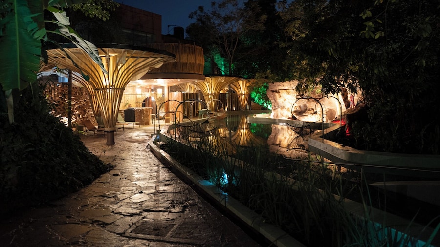 Entre Arboles Iguazu, Singular Collection by Amerian