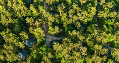 Keldy Classic Golden Oak, Pickering