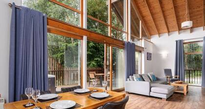 Strathyre Classic Silver Birch, Ben Ledi