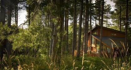 Blackwood Forest Golden Oak, Winchester